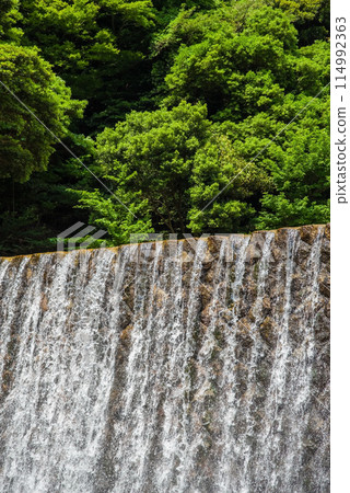 新綠和薩博水壩[鈴鹿國定公園/宮昴峽谷] 114992363