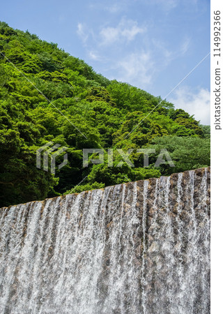 新綠和薩博水壩[鈴鹿國定公園/宮昴峽谷] 114992366