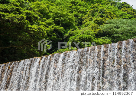 Fresh greenery and an erosion control dam [Suzuka Quasi-National Park, Miyazuma Gorge] 114992367