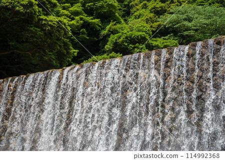 新綠和薩博水壩[鈴鹿國定公園/宮昴峽谷] 114992368