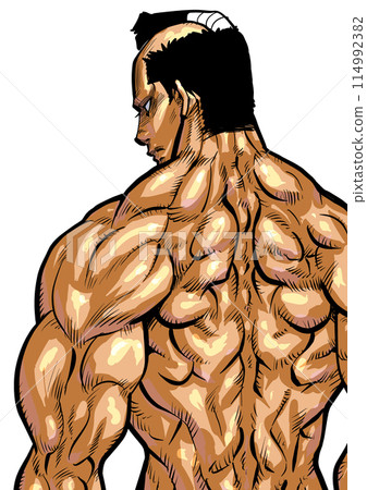肌肉發達的男性背部的插圖 114992382