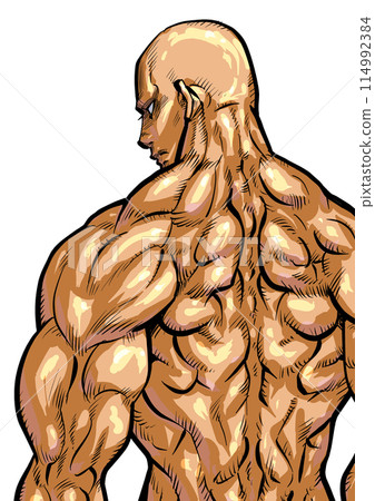 肌肉發達的男性背部的插圖 114992384