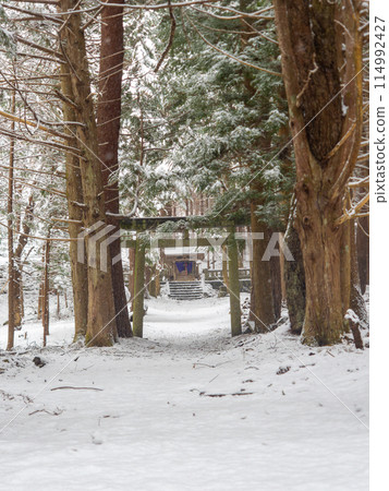 Snow scenic shrine 114992427