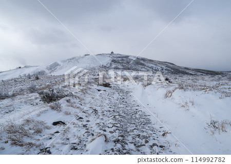 霧峰高原的雪景 114992782