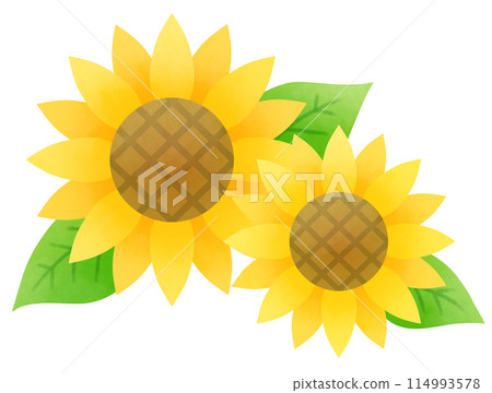 Set of sunflowers and leaves in full bloom 114993578