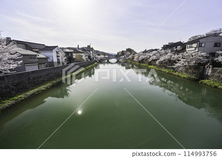 Cherry blossoms in Kanazawa Asano River neighborhood Cherry blossoms in Kanazawa Asano River neighborhood 114993756