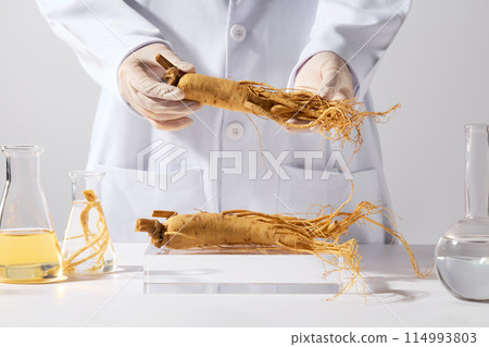 Template for design with front view, a ginseng root is raised in the middle of the frame by researcher, below is a glass podium contains some ginseng roots and plenty lab equipments on white tabletop 114993803