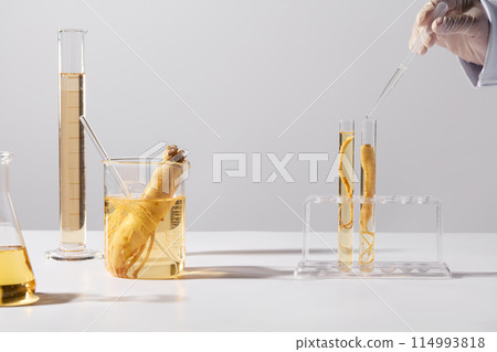 Fresh ginseng contained in lab glassware placed on white table over white background with a blank space in center for displaying product extracted from ginseng. Photo of front view, copy space 114993818
