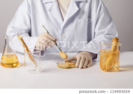 The scientist is using tweezers to pick up a slice of ginseng from a petri dish placed on a white table top, next to a beaker of soaked ginseng, test tube and erlenmeyer flask. Blank space for design The scientist is using tweezers to pick up a slice of ginseng from a petri dish placed on a white table top, next to a beaker of soaked ginseng, test tube and erlenmeyer flask. Blank space for design 114993839
