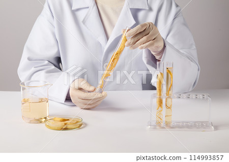 Photo of ginseng in laboratory concept with frontal view. In the middle of frame, a test tube containing a ginseng root hold by both hands of researcher, space on white table for displaying product 114993857