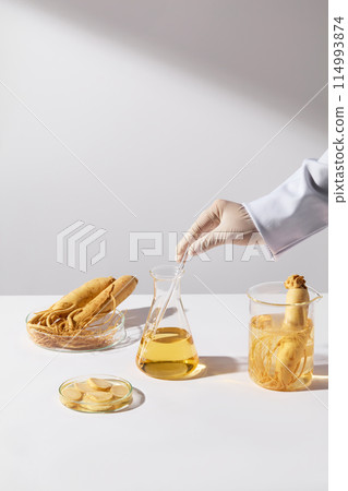 An erlenmeyer flask with yellow liquid being stirred by a scientist hand, placed in center of white countertop, beaker and petri dish of raw ginseng placed around. Photo with front shot and copy space 114993874