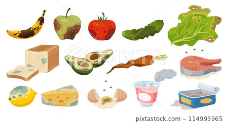 Expired products. Organic waste. Rotting damaged food. Spoiled vegetables or fruits. Biodegradable recycle garbage. Cheese and bread with mildew. Compost elements. Recent vector set 114993965