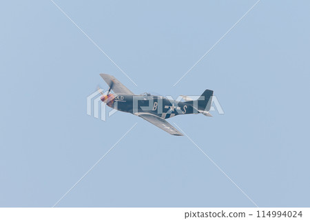 American P-51D Mustang fighter 114994024