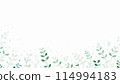 Pale green leaf pattern on a white background Pale green leaf pattern on a white background 114994183
