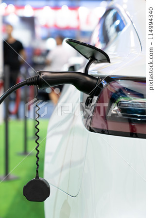 Close up of electric car inlet with a connected charging cable. Close up of electric car inlet with a connected charging cable. 114994340