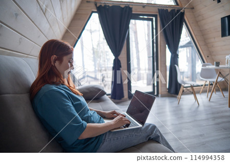 Red-haired woman typing on laptop while sitting on sofa in bungalow. Red-haired woman typing on laptop while sitting on sofa in bungalow. 114994358