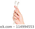 closeup hand holding electrical plug and Lan cable 114994553
