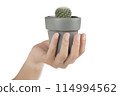 hand raised cactus pots 114994562