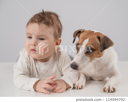 Cute baby boy and Jack Russell terrier dog lying in an embrace on a white background. Cute baby boy and Jack Russell terrier dog lying in an embrace on a white background. 114994792