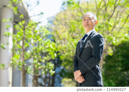 Middle-aged man business portrait Middle-aged man business portrait 114995027