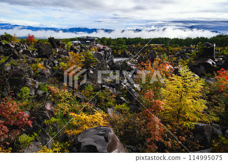 Onioshidashi Park in Autumn [Tsumagoi Village, Agatsuma District] 114995075