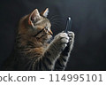 A cat is holding a phone 114995101