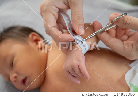 A woman cuts a tag from a newborn boy's hand with nail scissors. Close-up of hands. 114995390