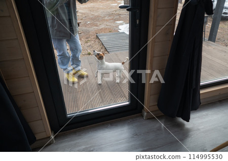The dog stands at the patio window and asks to go inside the house.  114995530