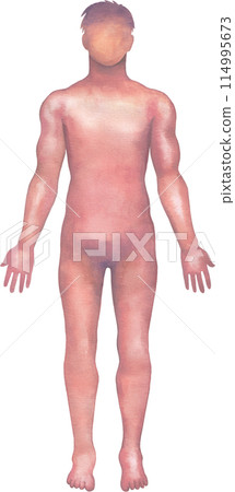 Shaded watercolor silhouette of a male human body Shaded watercolor silhouette of a male human body 114995673