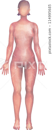 Shaded watercolor silhouette of a female human body 114995685