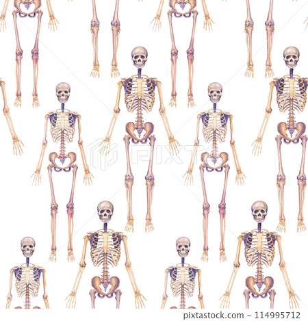 Repeating seamless pattern of watercolor human skeletons Repeating seamless pattern of watercolor human skeletons 114995712