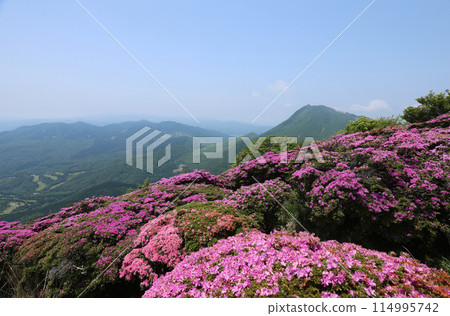 盛開的宮切島和從鶴見山看到的由布山（晴空） 114995742