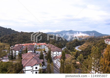 Malaysia - landscape with jungle and contemporary architecture in Cameron Highlands 114995807