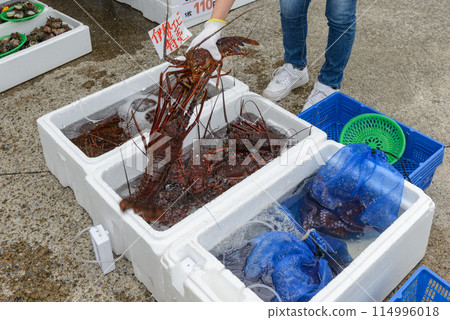 Fresh spiny lobsters and octopus on display at the market, along with live spiny lobsters 114996018