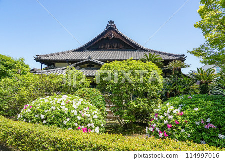 高松城顯雲閣庭園(香川縣高松市) 高松城顯雲閣庭園(香川縣高松市) 114997016