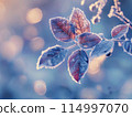 Frosted leaves on a chilly morning, showcased against a muted 114997070