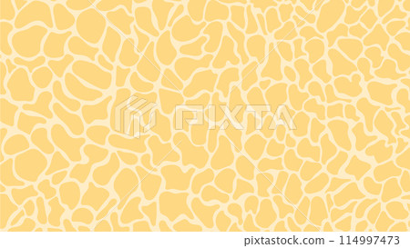 Nature abstract pattern. Nature background with spots and cells Nature abstract pattern. Nature background with spots and cells 114997473