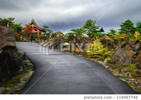 秋天的鬼王大花園【東區嬬戀村】 114997748