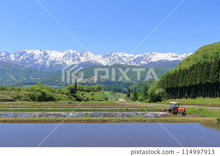 五月的白馬：從野平看到的北阿爾卑斯山被白雪覆蓋 114997913