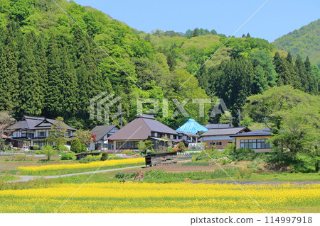 五月 白馬村野平 114997918