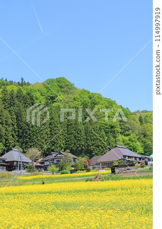 五月 白馬村野平 114997919