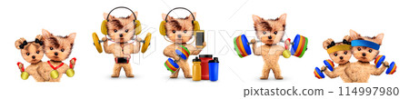 Funny dog holding sport equipment like dumbbell, kettlebell 114997980