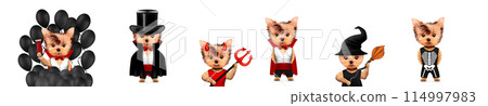 Dracula, devil and witch as cute pet dog. Halloween and Dead day 114997983