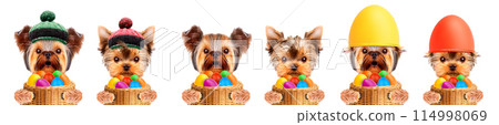 Funny dogs with Easter eggs Funny dogs with Easter eggs 114998069