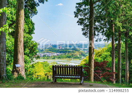 Red Hill Heather Forest, a beautiful green Satoyama garden (Tsu City, Mie Prefecture) 114998255