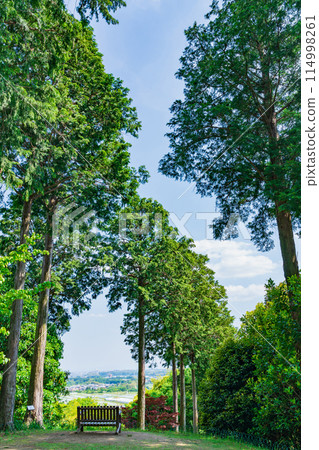 Red Hill Heather Forest, a beautiful green Satoyama garden (Tsu City, Mie Prefecture) 114998261