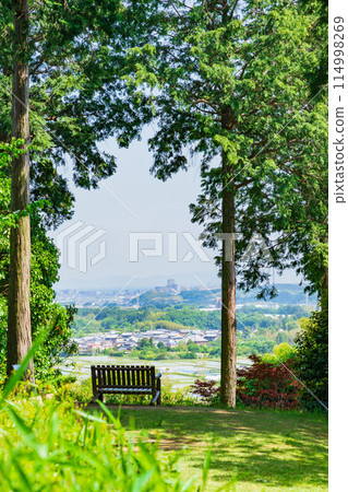 Red Hill Heather Forest, a beautiful green Satoyama garden (Tsu City, Mie Prefecture) 114998269