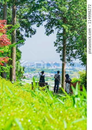 Red Hill Heather Forest, a beautiful green Satoyama garden (Tsu City, Mie Prefecture) 114998272
