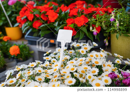 Flower shop with white sing for price in shopping center 114998899