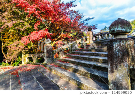諫早公園（女橋）的紅葉【長崎縣諫早市】 114999030